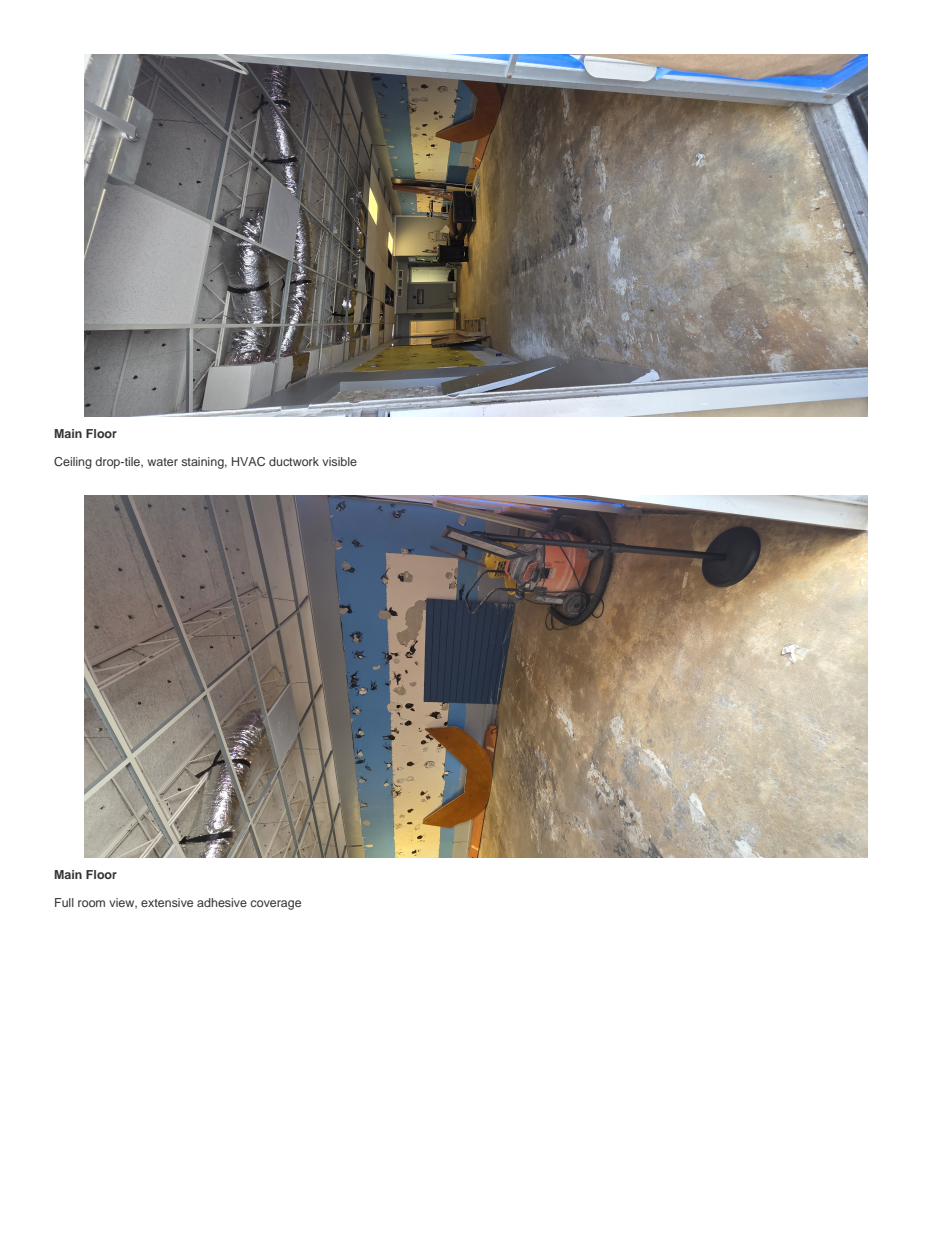 Site photo b1p3